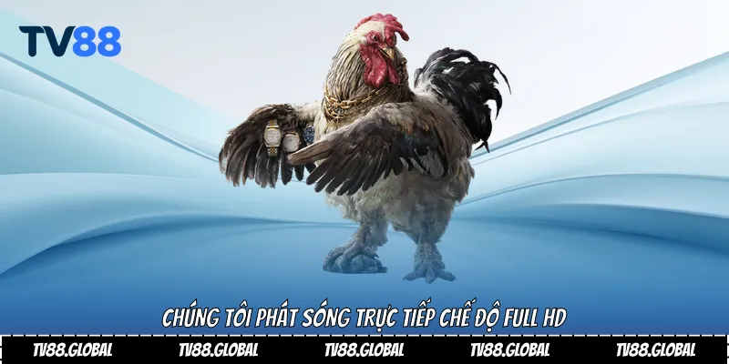 Chúng tôi phát sóng trực tiếp chế độ Full HD