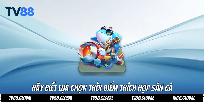 Hãy biết lựa chọn thời điểm thích hợp săn cá