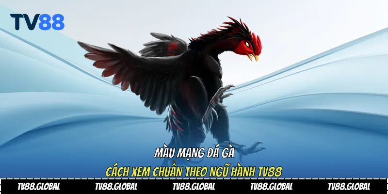 màu mạng đá gà
