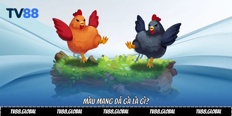 Màu mạng đá gà là gì?