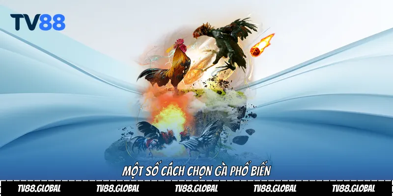 Một số cách chọn gà phổ biến