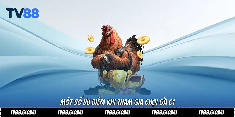 Trải Nghiệm Đỉnh Cao Đá Gà C1 Tại TV88 Uy Tín Nhất 2025 4 Một số ưu điểm khi tham gia chọi gà C1