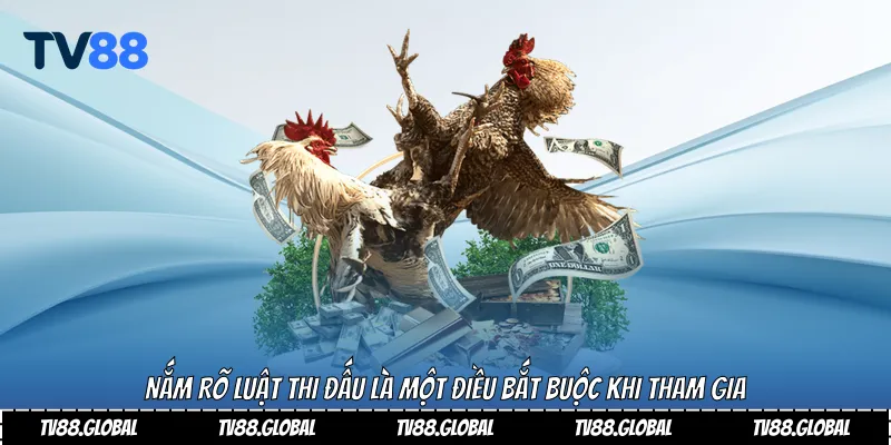 Nắm rõ luật thi đấu là một điều bắt buộc khi tham gia