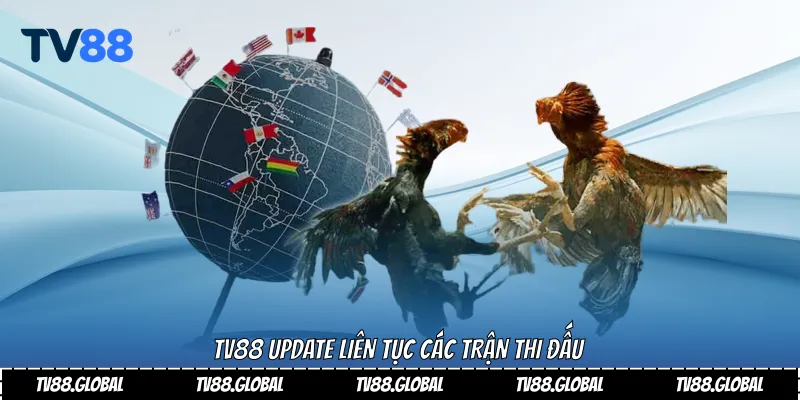 Tv88 update liên tục các trận thi đấu